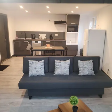 דירה Duplexe Cosy Gosselies שרלרואה